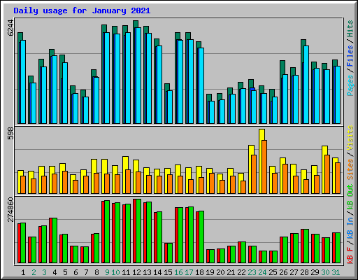 Daily usage for January 2021