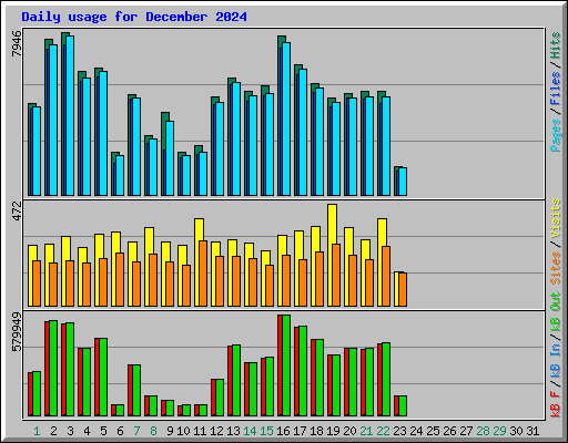 Daily usage for December 2024