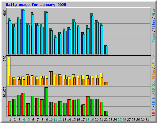 Daily usage for January 2025