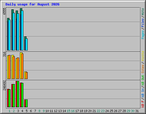 Daily usage for August 2026