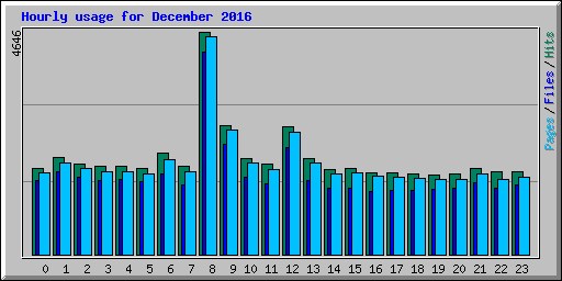 Hourly usage for December 2016