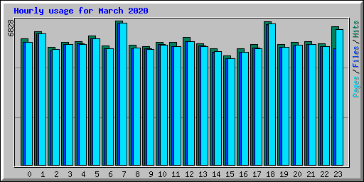 Hourly usage for March 2020