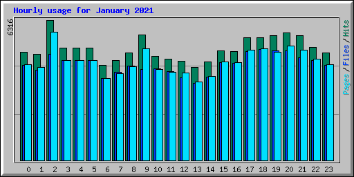 Hourly usage for January 2021