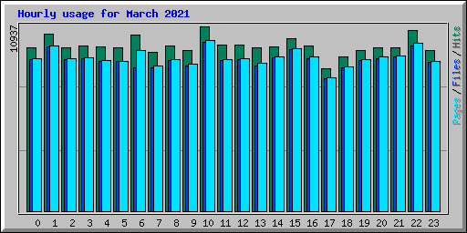 Hourly usage for March 2021