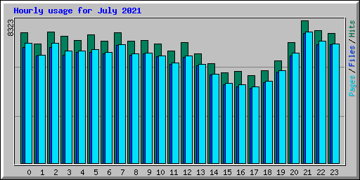 Hourly usage for July 2021