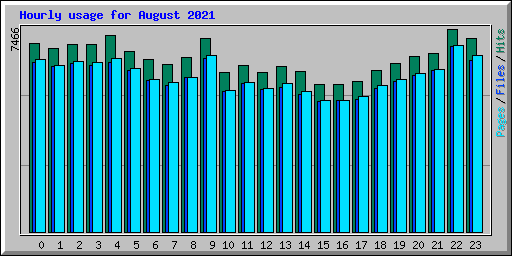 Hourly usage for August 2021