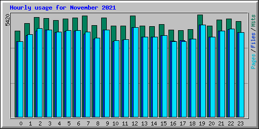 Hourly usage for November 2021