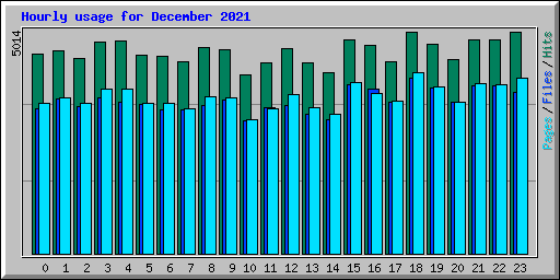 Hourly usage for December 2021