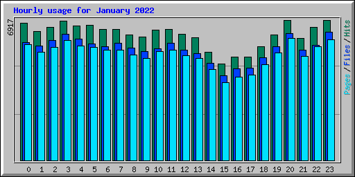 Hourly usage for January 2022