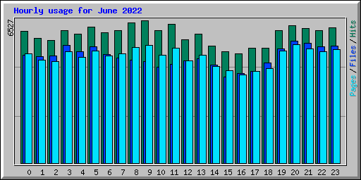 Hourly usage for June 2022