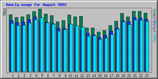 Hourly usage for August 2022