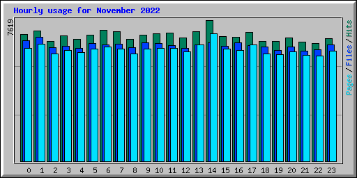 Hourly usage for November 2022