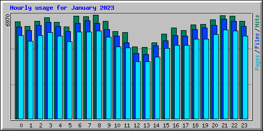 Hourly usage for January 2023