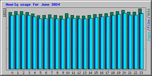 Hourly usage for June 2024