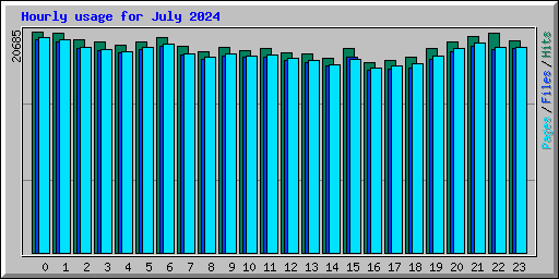 Hourly usage for July 2024