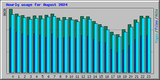 Hourly usage for August 2024