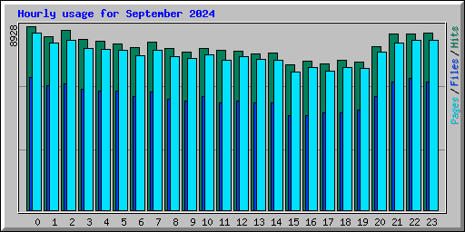 Hourly usage for September 2024