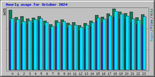 Hourly usage for October 2024