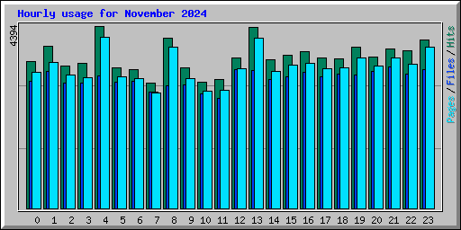 Hourly usage for November 2024