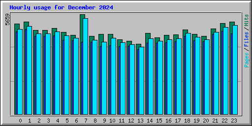 Hourly usage for December 2024