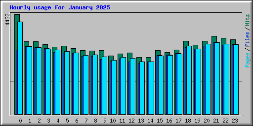 Hourly usage for January 2025