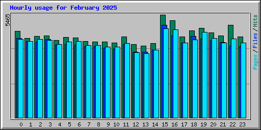 Hourly usage for February 2025