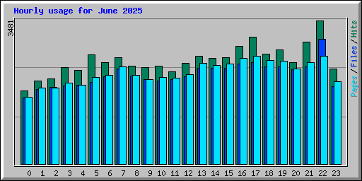 Hourly usage for June 2025
