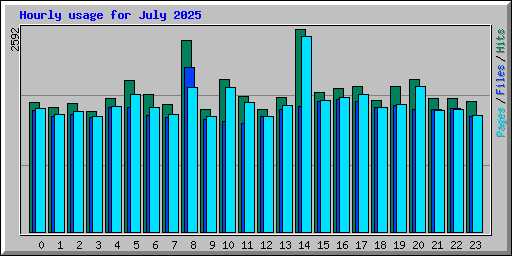 Hourly usage for July 2025