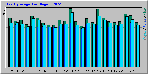 Hourly usage for August 2025