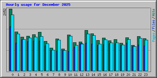 Hourly usage for December 2025