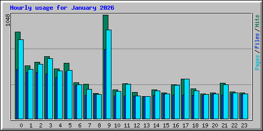 Hourly usage for January 2026