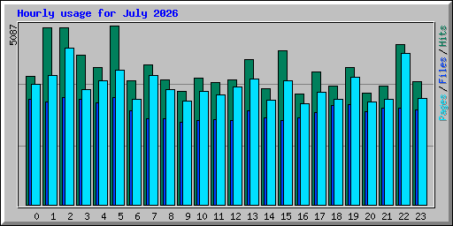 Hourly usage for July 2026
