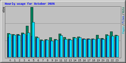Hourly usage for October 2026